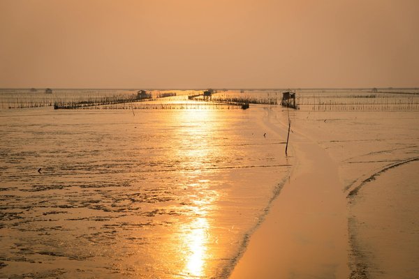 Vols pas chers : comment profiter des promos touristiques des compagnies aériennes