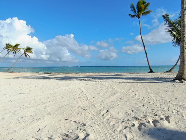 Un séjour en gîte rural : le cadeau parfait pour les amoureux de nature