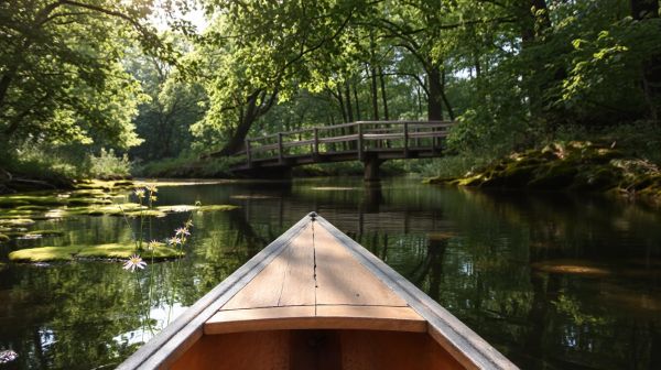 Top 5 raisons de camper dans le marais Poitevin